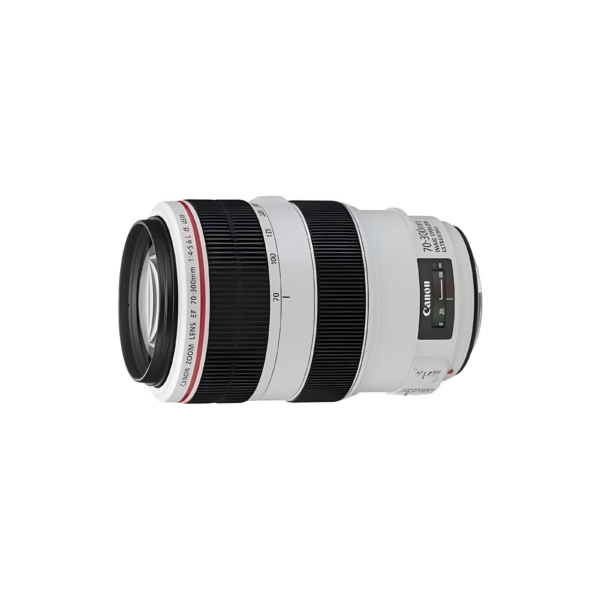 CANON EF 70-300MM F/4-5.6 L IS USM